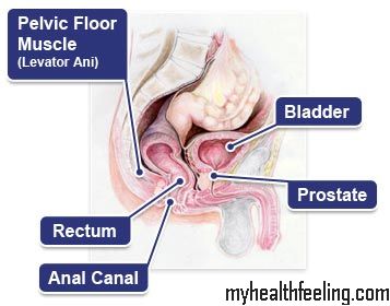 in at night Deep anus pain